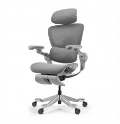 HINOMI H2 PRO-GRY