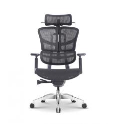 Компьютерное кресло EXPERT ERGO ERGOWING STANDARD черный